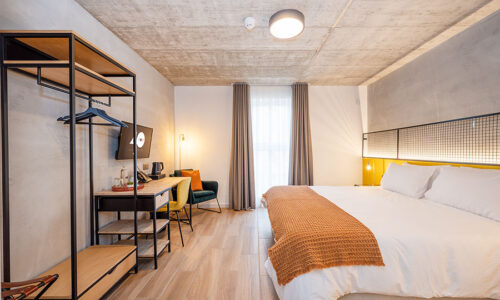 MUSTARD Back Window Rooms MUSTARD Back Window Rooms